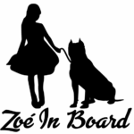 Zoe-on-board-autos-matrica-baby-autora-egyedi-car-decal