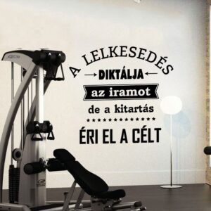 „A lelkesedés diktálja az iramot” motivációs idézet M819