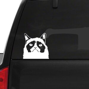 Grumpy cat autóra matrica M712